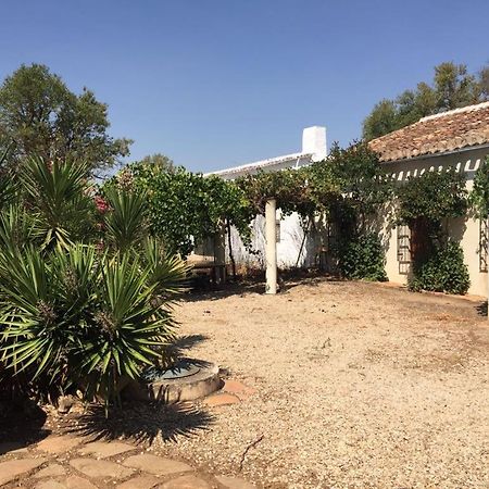 Casa Rural La Navarra Villarrobledo Zewnętrze zdjęcie