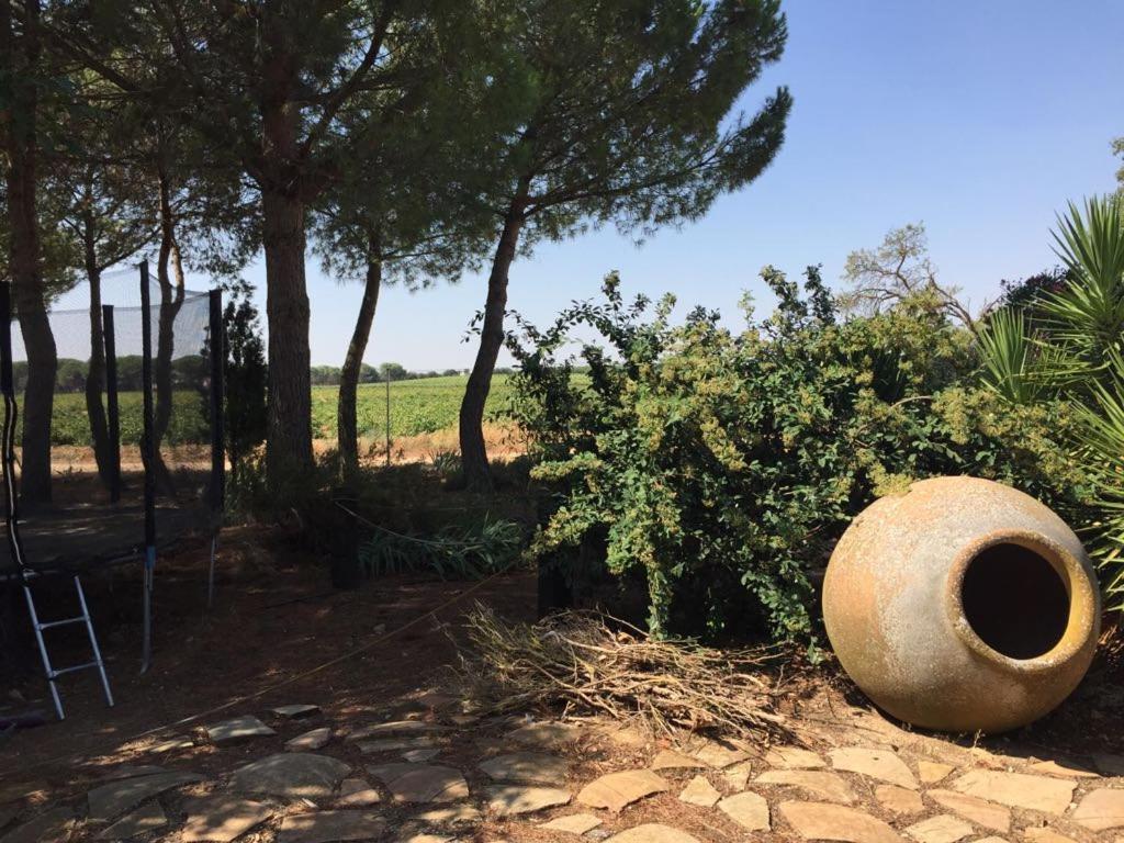 Casa Rural La Navarra Villarrobledo Zewnętrze zdjęcie