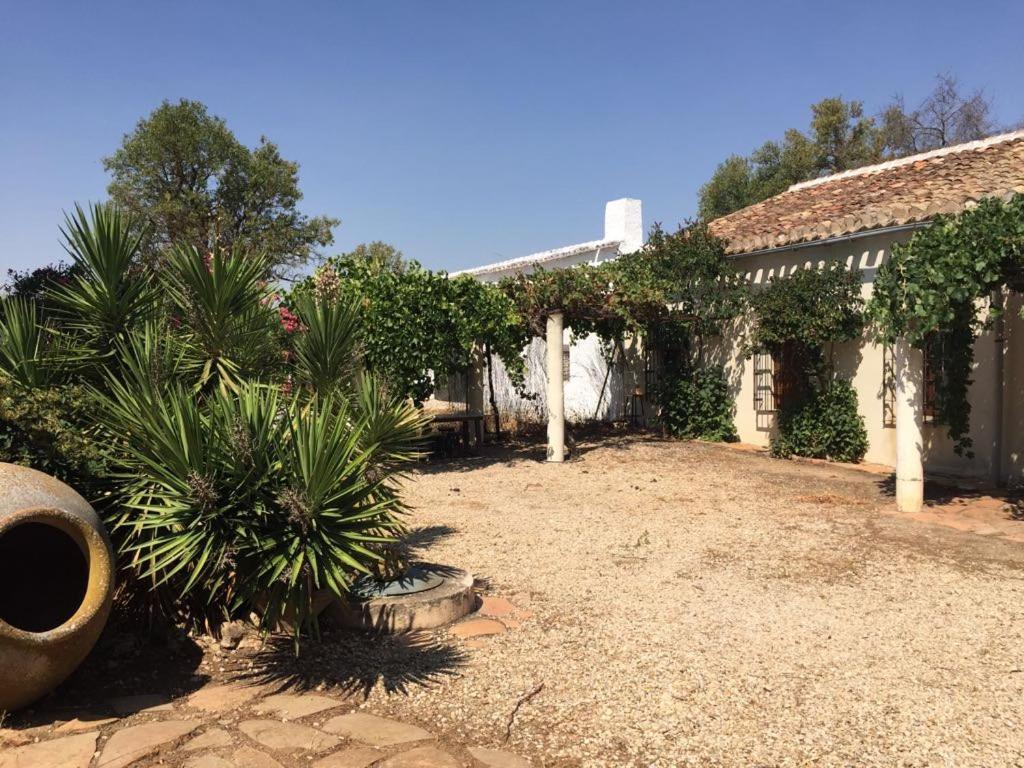 Casa Rural La Navarra Villarrobledo Zewnętrze zdjęcie
